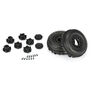 1/10 Dumont Front Paddle/Rib 2.2"/3.0" SC Mounted 12mm Black Raid (2)